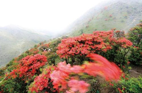 大沙鎮還著力自然景觀開發, 是一個有著豐富旅游資源的小鎮